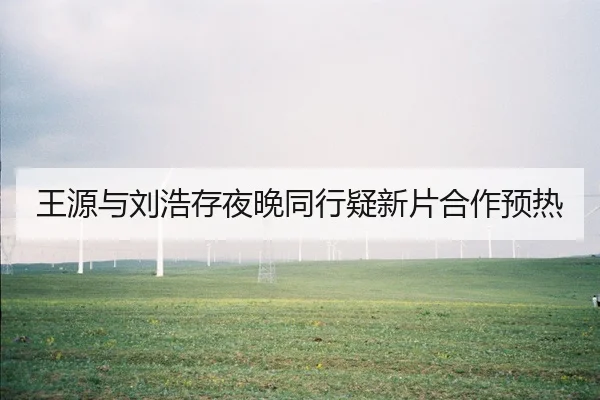王源与刘浩存夜晚同行疑新片合作预热